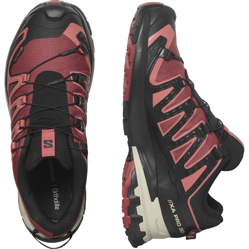Salomon XA PRO 3D V9 GTX Women's Hiking Shoe in Cow Hide/Black/Faded Rose-2